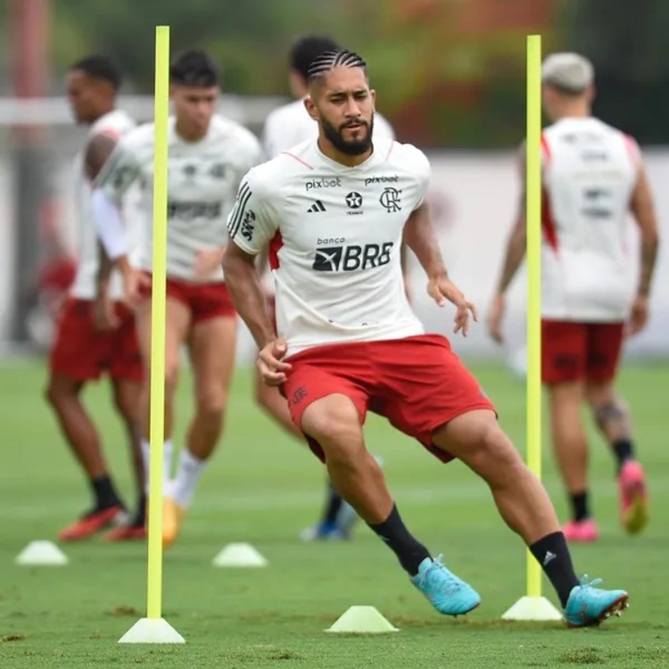 Flamengo Pablo E Ayrton Lucas Substituem L O Pereira E Filipe Lu S