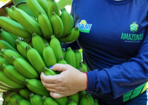 Dia Da Banana Fruta Gera Emprego E Renda Para Quase Mil