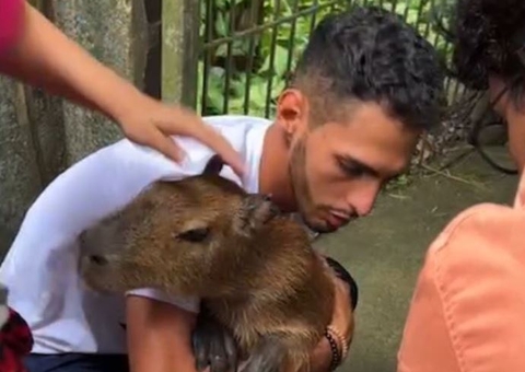 Ap S Protesto E Invas O No Ibama Capivara Fil Entregue A Tiktoker