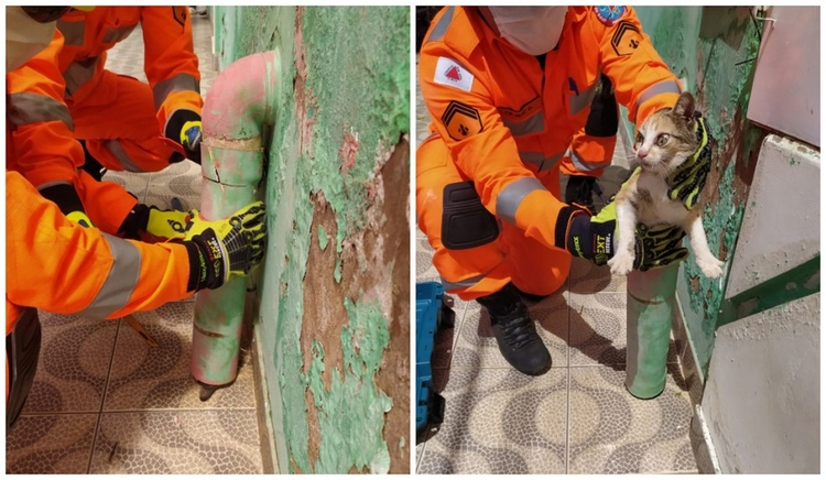 O Corpo de Bombeiros foi acionado (Foto: Divulgação)