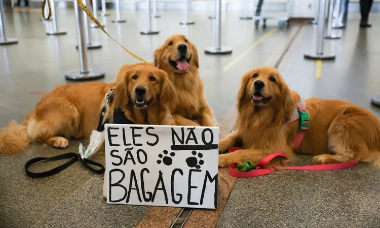 Foto: Divulgação/ EBC