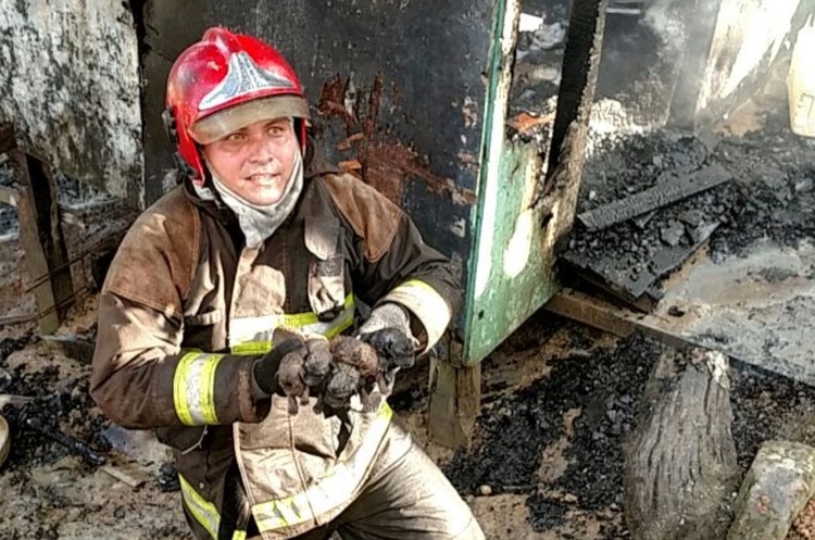 Foto: Divulgação/Corpo de Bombeiros