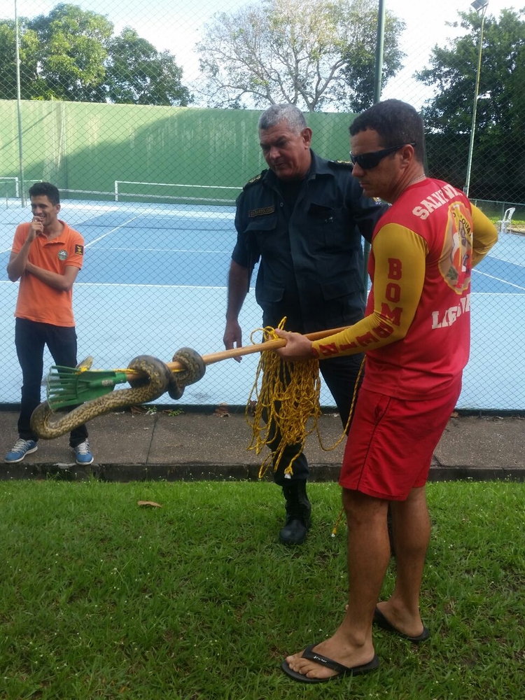 Foto: Divulgação / Corpo de Bombeiros