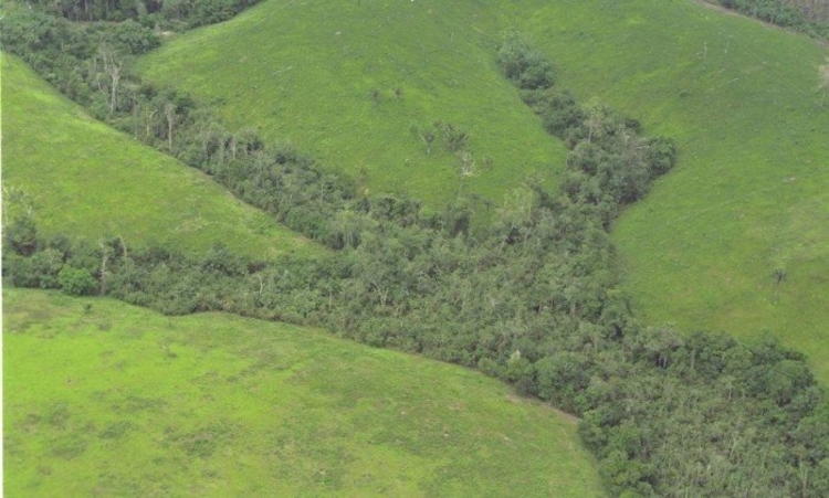 Vista aérea da Amazônia - Marcelo Sayão / Agência O Globo/07-02-1998