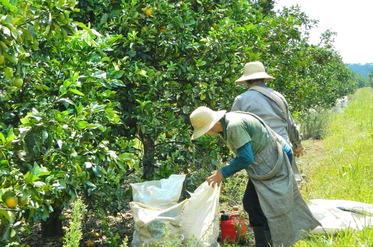 Foto: Divulgação/ Ascom