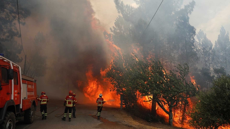 Foto: Reprodução/Reuters