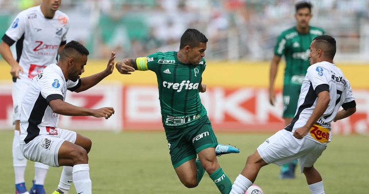 Foto: Agência Palmeiras