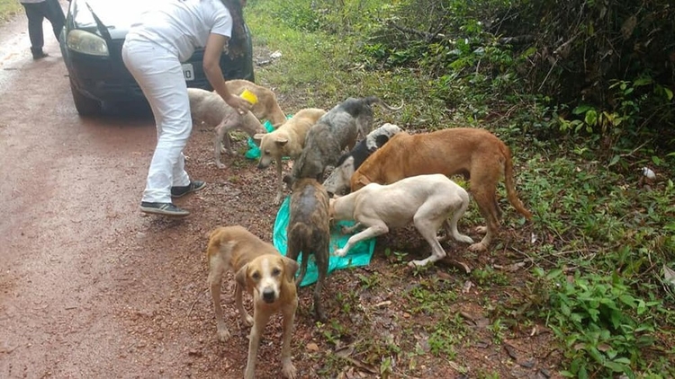 Foto: Reprodução / Facebook 