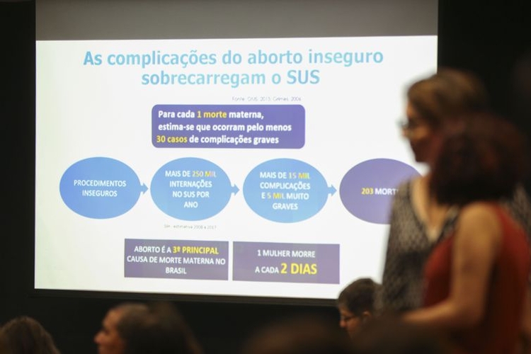 Apresentação feita durante a audiência pública sobre descriminalização do aborto convocada pelo Supremo Tribunal Federal - José Cruz/Agência Brasil