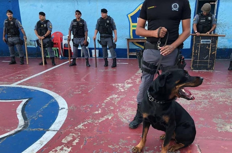 Foto: Divulgação / Polícia Militar