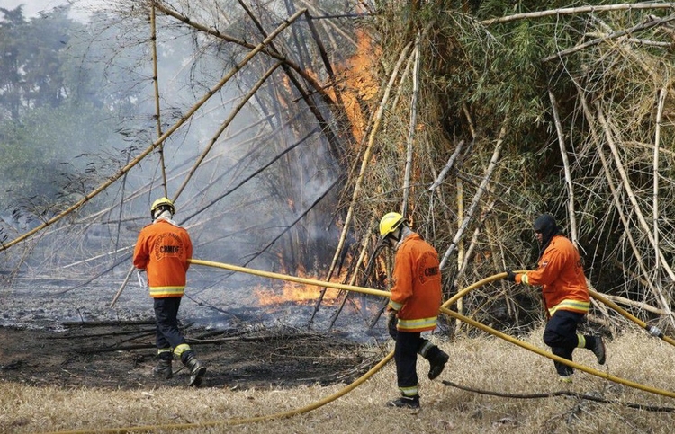 Foto: CBMDF/Divulgação