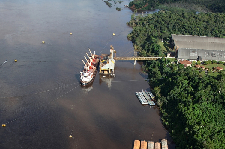 Foto: Reprodução/ wikipedia 