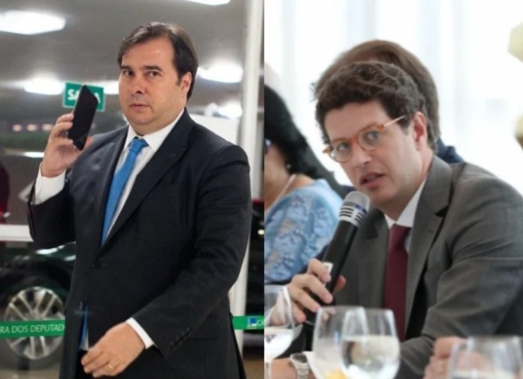 Rodrigo Maia e Ricardo Salles trocam farpas na web (Foto: Reprodução)