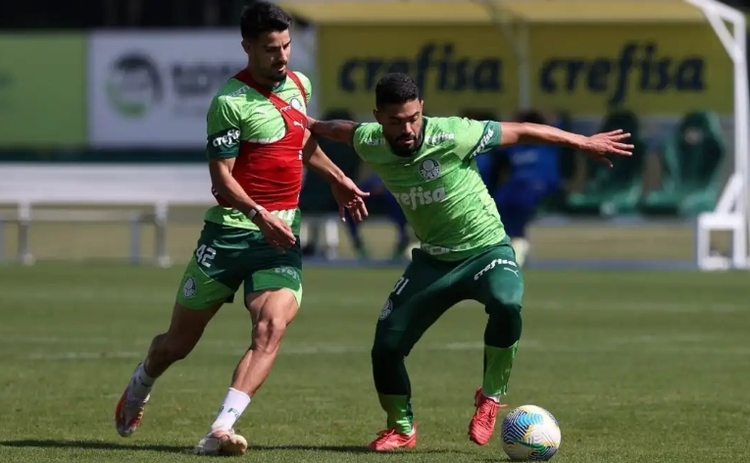 Foto: Cesar Greco/ Palmeiras