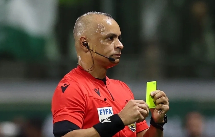 Wilton Pereira Sampaio em jogo do Brasileirão. Foto: Cesar Greco/ Palmeiras