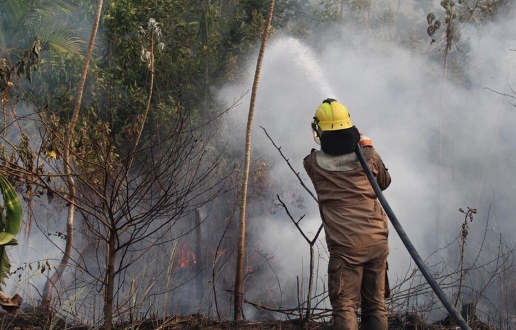 Foto: Divulgação/CBMAM