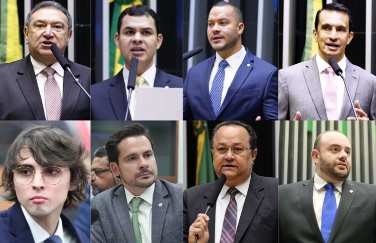 Deputados Átila Lins, Saullo Vianna, Adail Filho, Sidney Leite, Amom Mandel, Alberto Neto, Silas Câmara e Fausto Jr. -  Fotos: Divulgação/Câmara dos Deputados 