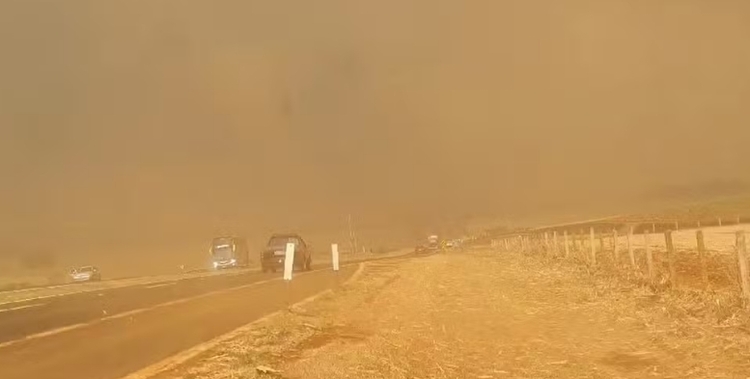 Visibilidade dos motoristas foi afetada em rodovias da região de Ribeirão Preto por causa dos incêndios. Foto: Reprodução