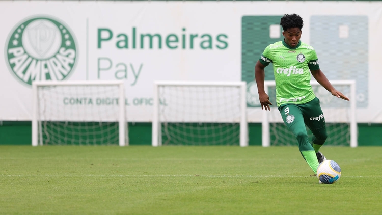 Foto: Reprodução/ Twitter Palmeiras