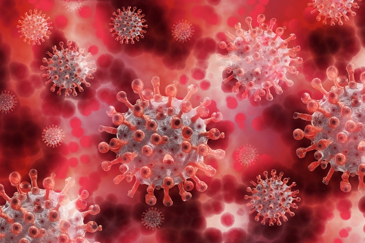 Variante amazonense do coronavírus causa preocupação na comunidade científica. Foto: Reprodução