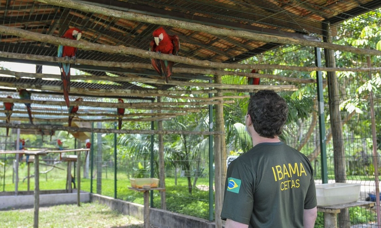 Cerca de 600 animais morreram no Cetas do RJ - Foto: Divulgação/IBAMA