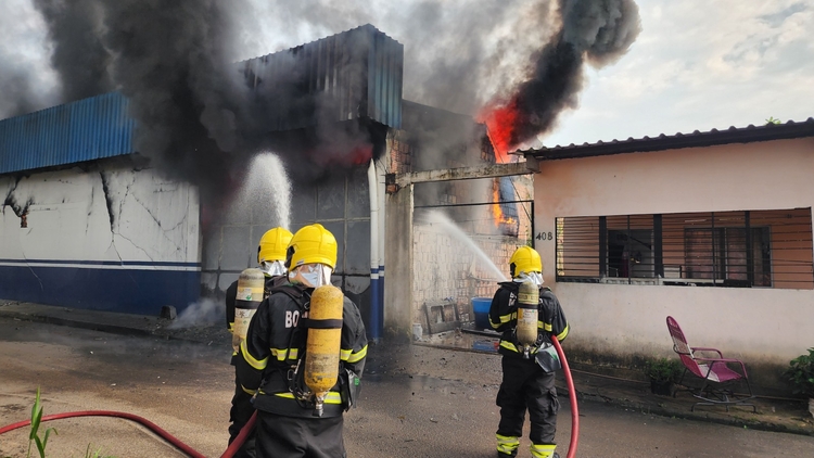 Foto: Divulgação 