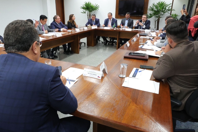 Reunião do governo do Amazonas com a bancada federal do estado Foto: Divulgação/Secom