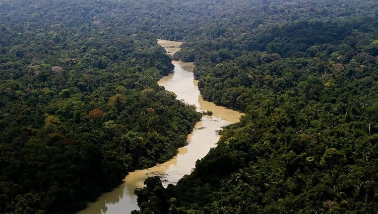 Foto: Divulgação/Instituto Chico Mendes de Conservação da Biodiversidade