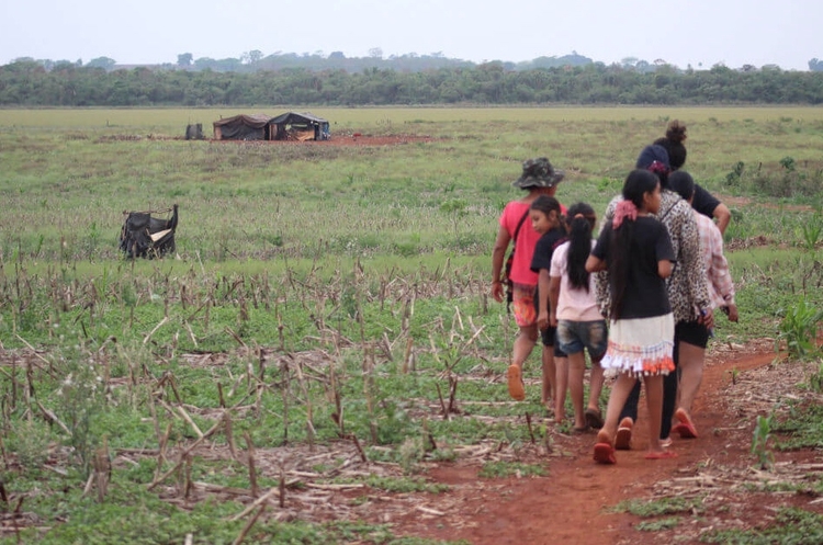 Retomada do povo Guarani Kaiowá na Terra Indígena Panambi-Lagoa Rica, em Douradina (MS). Crédito: Ludmila Pereira - Agro é Fogo