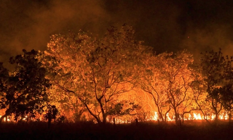 Foto: Jader Souza/AL Roraima