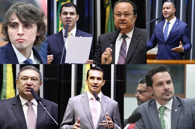 Deputados da bancada federal do Amazonas - Foto: Divulgação/Câmara dos Deputados 