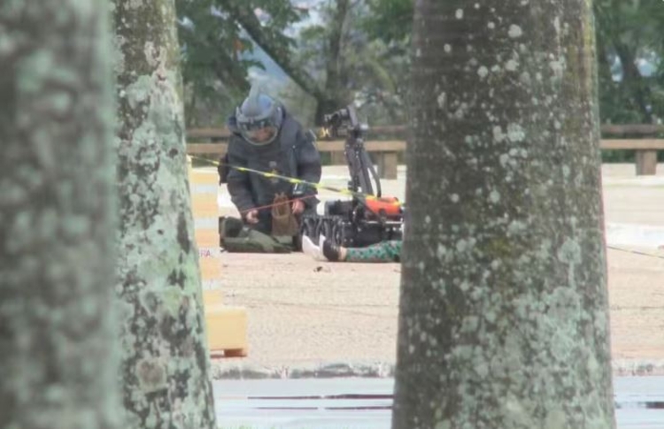 Foto: Reprodução TV Globo