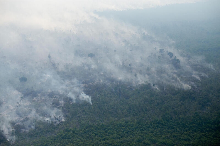 Foto: Divulgação / Greenpeace