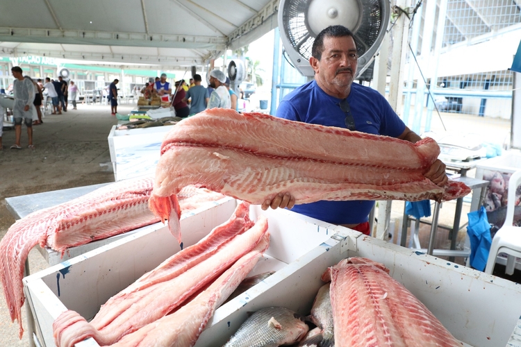 O Feirão do Pescado ocorrerá em dois locais - Foto: Ruth Jucá / ADS