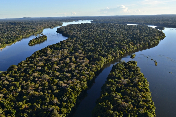 Foto: Divulgação/ WWF