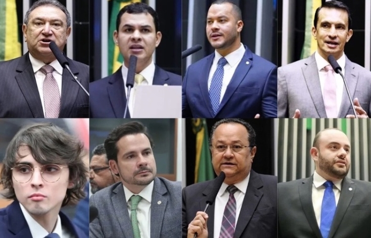 Deputados Átila Lins, Saullo Vianna, Adail Filho, Sidney Leite, Amom Mandel, Alberto Neto, Silas Câmara e Fausto Jr. - Fotos: Divulgação/Câmara dos Deputados