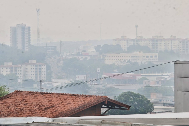 Foto: Jander Robson/Portal do Holanda