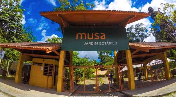 Foto: Divulgação/ Museu da Amazônia