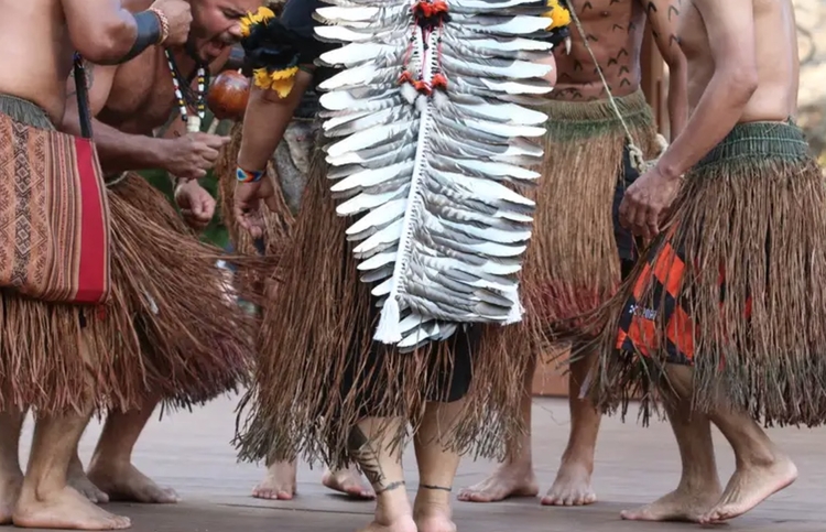 Foto ilustrativa da apresentação da dança indígena Toré, com a etnia Wassu Cocal - Foto: Rovena Rosa/Agência Brasil