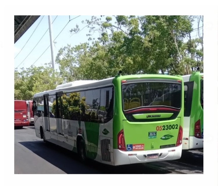 Foto: Divulgação/Ônibus Brasil