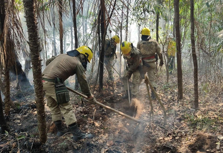 Foto: Divulgação/CBMAM