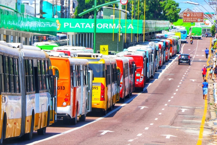 Ônibus parados no T1 - Foto: Jander Robson/Portal do Holanda