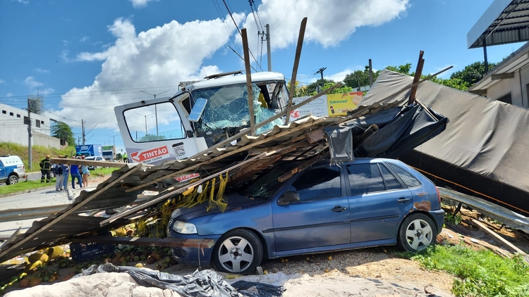 Foto: Divulgação IMMU