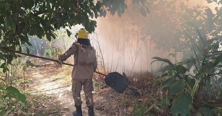 Foto: Divulgação CBMAM