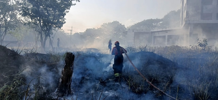 Foto: Divulgação CBMAM