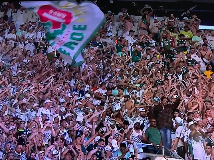 Brasileirão: Palmeiras consegue empate com o Vasco em jogo movimentado - O  Mariliense