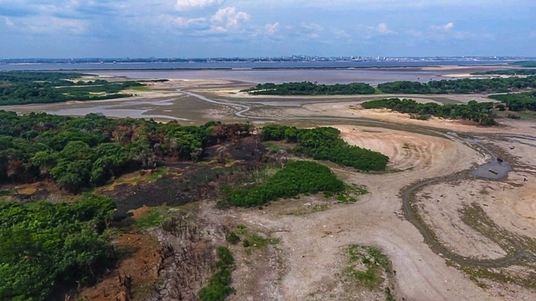 Foto: Jander Robson / Portal do Holanda