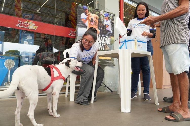 Foto: Divulgação/Semsa 