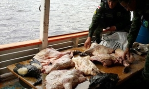 590 kg de pescado e carne de animais silvestres são apreendidos