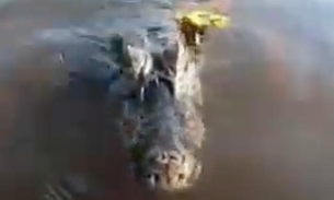 Jacaré abocanha câmera e apavora família durante passeio de barco; veja vídeo